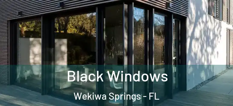  Black Windows Wekiwa Springs - FL