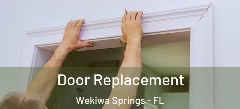  Door Replacement Wekiwa Springs - FL
