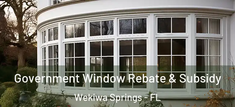  Government Window Rebate & Subsidy Wekiwa Springs - FL