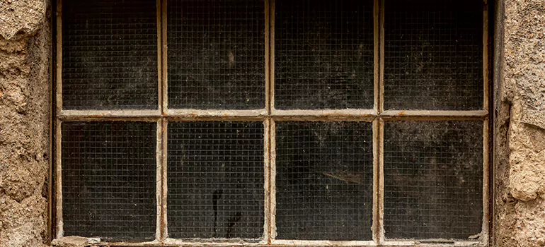 Traditional Double Front Doors in Wekiwa Springs, FL