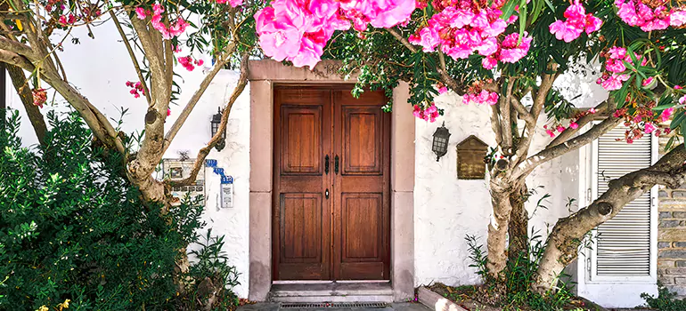 Traditional 4 Panel Internal Doors in Wekiwa Springs, FL
