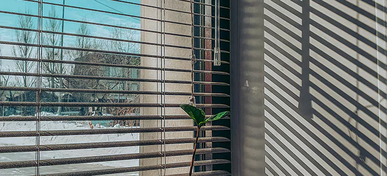 Commercial Window Blinds in Wekiwa Springs, FL