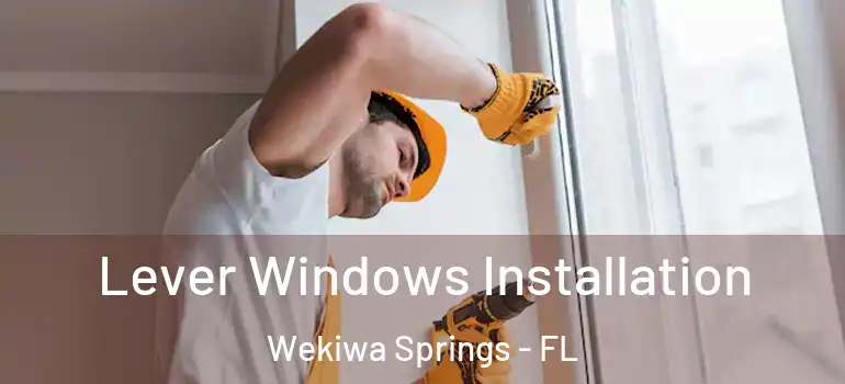  Lever Windows Installation Wekiwa Springs - FL