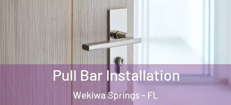  Pull Bar Installation Wekiwa Springs - FL