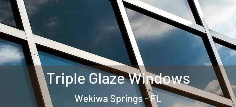  Triple Glaze Windows Wekiwa Springs - FL
