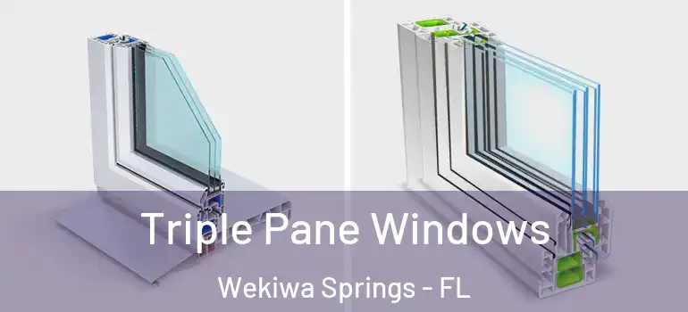  Triple Pane Windows Wekiwa Springs - FL