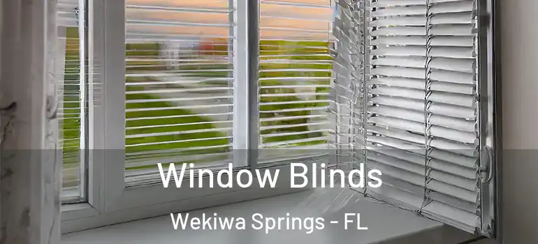  Window Blinds Wekiwa Springs - FL