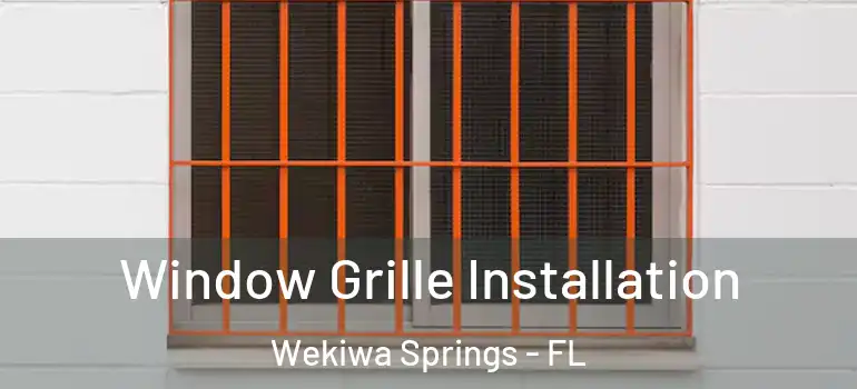  Window Grille Installation Wekiwa Springs - FL
