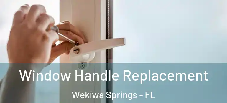  Window Handle Replacement Wekiwa Springs - FL