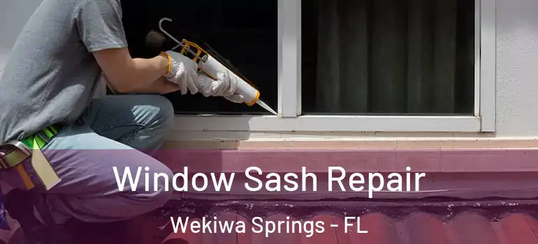  Window Sash Repair Wekiwa Springs - FL